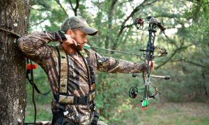 The 5 Best Bow Sight For Hunting: Improve Your Aim